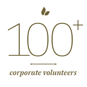 100+ Corporate Volunteers Stat